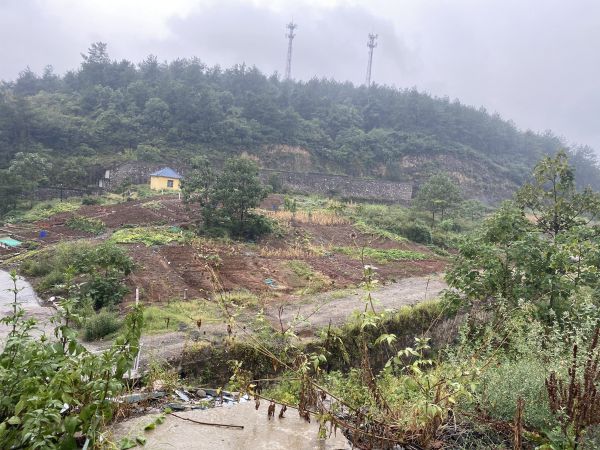 海慧沟路2号的荒地。荆门晚报记者刘娇摄